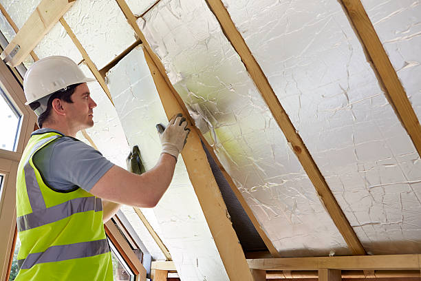 Insulation Repair Services in Apple Mountain Lake, VA